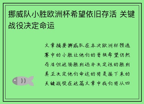 挪威队小胜欧洲杯希望依旧存活 关键战役决定命运