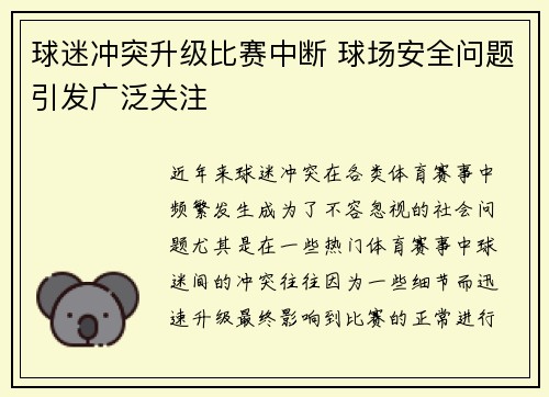 球迷冲突升级比赛中断 球场安全问题引发广泛关注